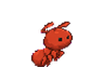 Ant